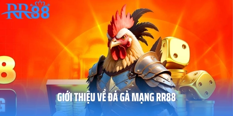 Giới thiệu về đá gà mạng RR88