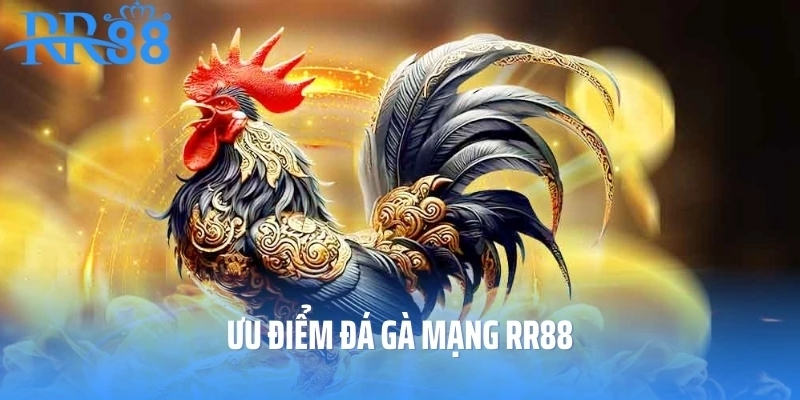 Ưu điểm đá gà mạng RR88