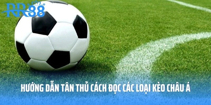 Hướng dẫn tân thủ cách đọc các loại kèo châu Á chuẩn xác nhất