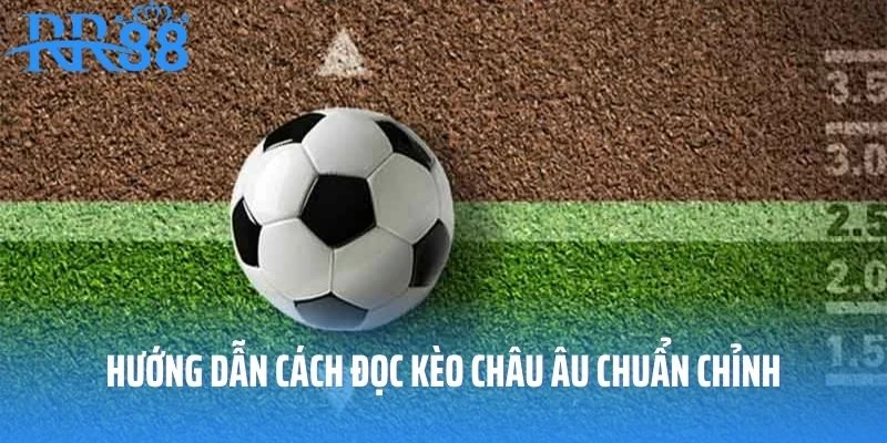 Hướng dẫn cách đọc kèo châu Âu chuẩn chỉnh và dễ hiểu dành cho tân thủ