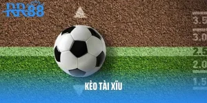 Mẹo Soi  Kèo Tài Xỉu Cực Chất - Thắng Đậm Tiền Thưởng Nhà Cái RR88